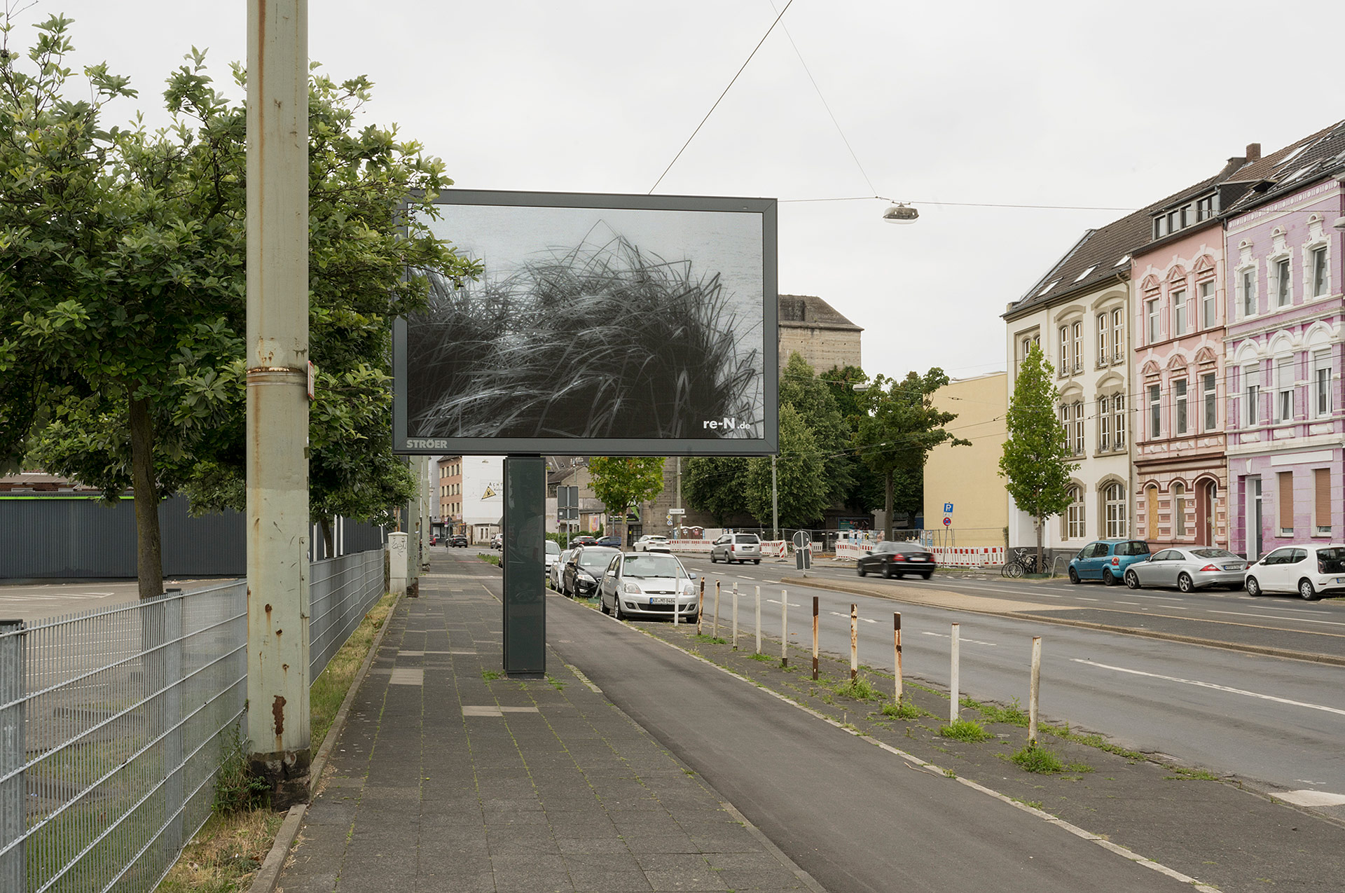 DZ74651-Oppumer-Nettegras-crop